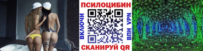 сколько стоит  Починок  Галлюциногенные грибы прущие грибы 